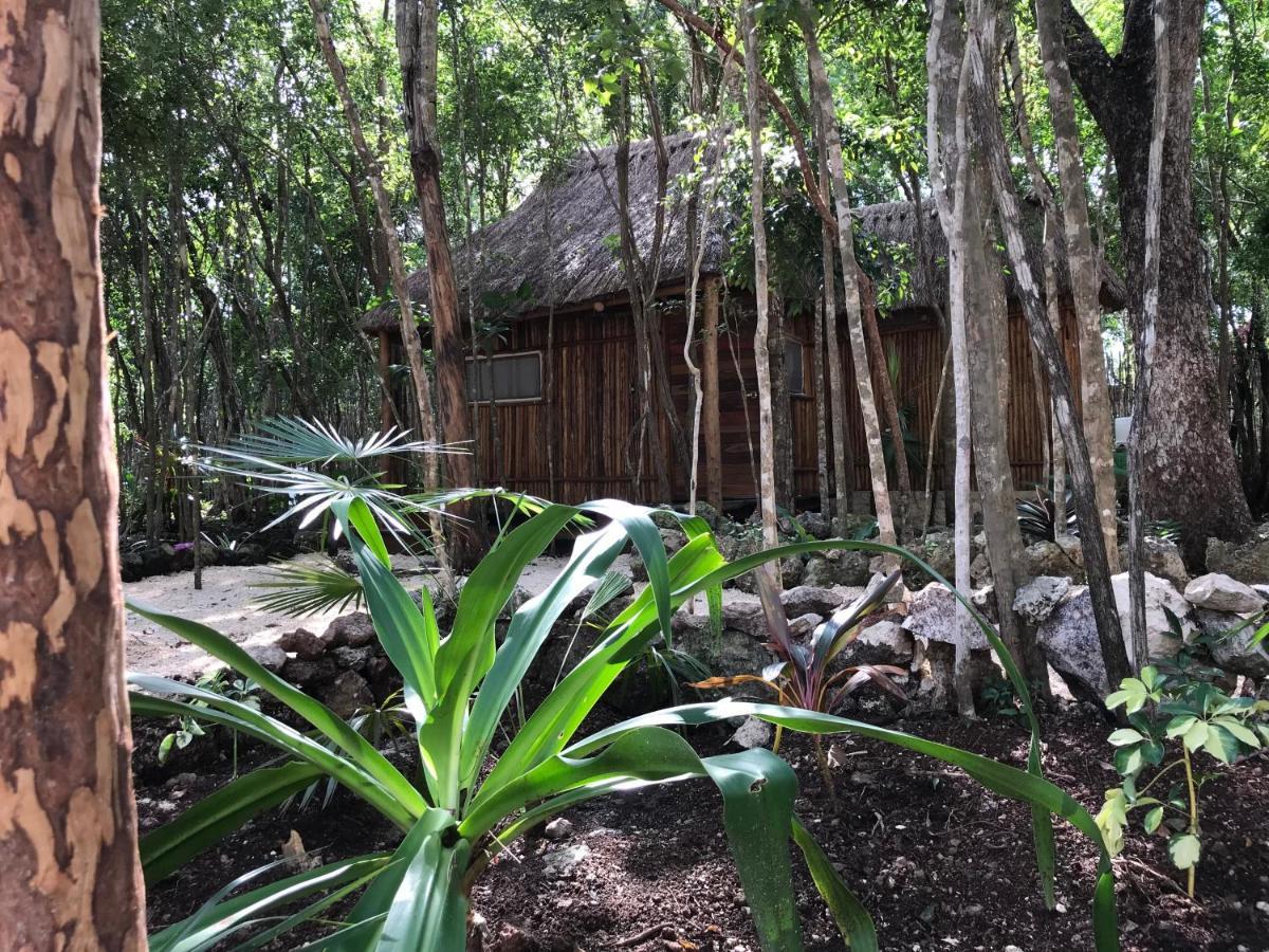 Bayou Tulum Ngoại thất bức ảnh