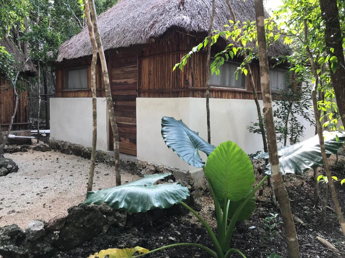 Bayou Tulum Ngoại thất bức ảnh